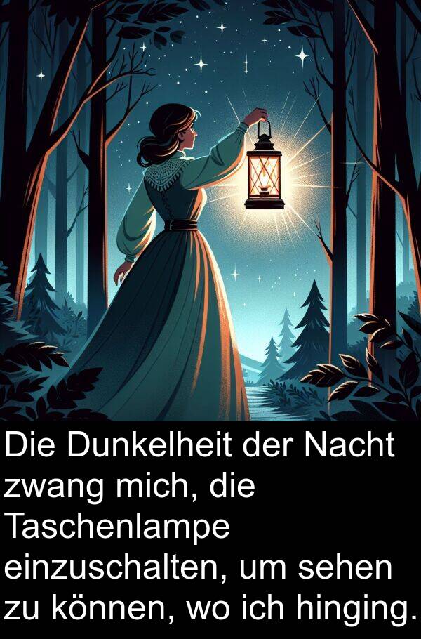 hinging: Die Dunkelheit der Nacht zwang mich, die Taschenlampe einzuschalten, um sehen zu können, wo ich hinging.