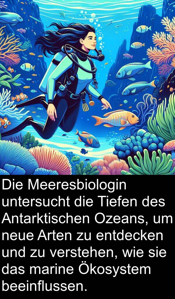 marine: Die Meeresbiologin untersucht die Tiefen des Antarktischen Ozeans, um neue Arten zu entdecken und zu verstehen, wie sie das marine Ökosystem beeinflussen.