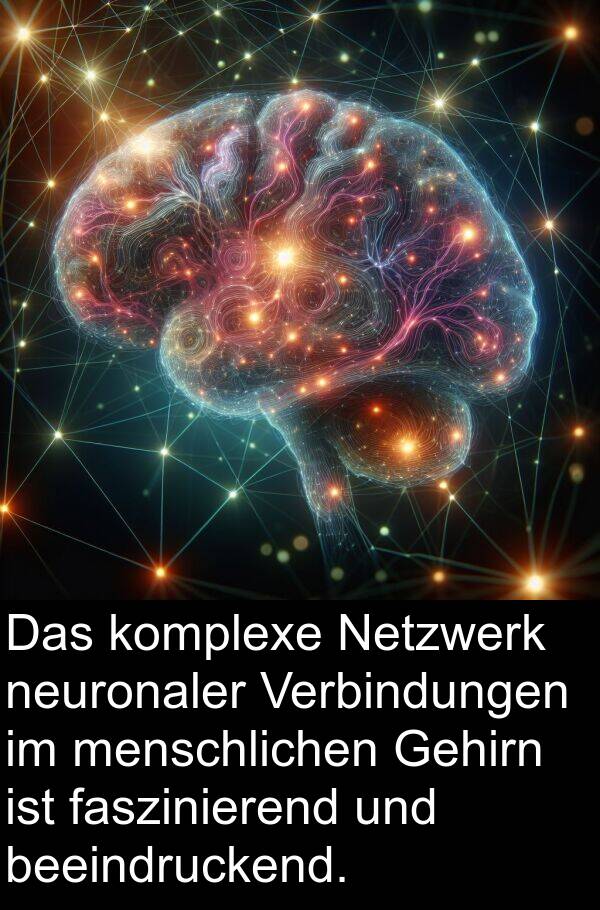 Verbindungen: Das komplexe Netzwerk neuronaler Verbindungen im menschlichen Gehirn ist faszinierend und beeindruckend.