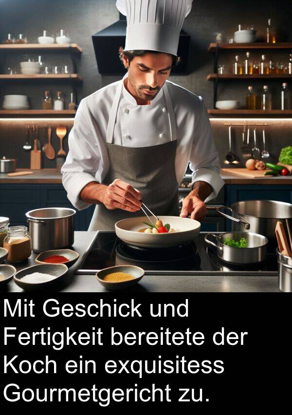 Koch: Mit Geschick und Fertigkeit bereitete der Koch ein exquisitess Gourmetgericht zu.