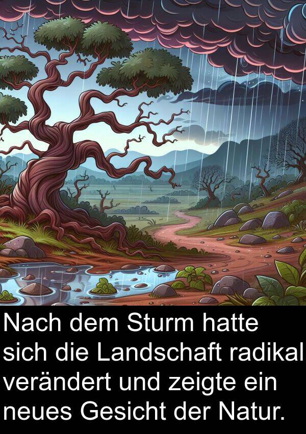 Natur: Nach dem Sturm hatte sich die Landschaft radikal verändert und zeigte ein neues Gesicht der Natur.