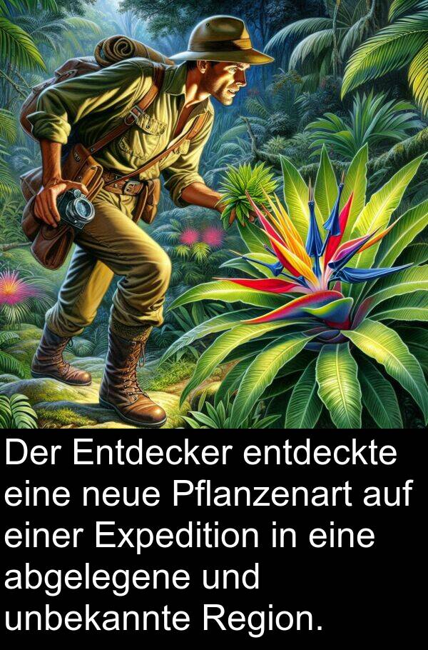 Region: Der Entdecker entdeckte eine neue Pflanzenart auf einer Expedition in eine abgelegene und unbekannte Region.