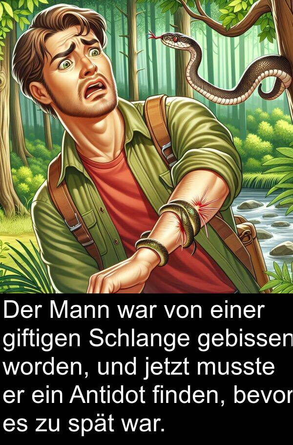 finden: Der Mann war von einer giftigen Schlange gebissen worden, und jetzt musste er ein Antidot finden, bevor es zu spät war.