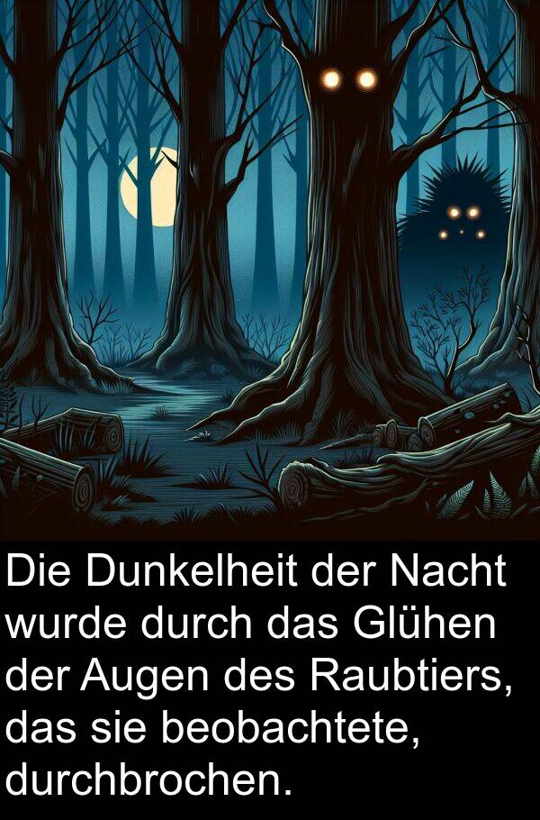 Glühen: Die Dunkelheit der Nacht wurde durch das Glühen der Augen des Raubtiers, das sie beobachtete, durchbrochen.