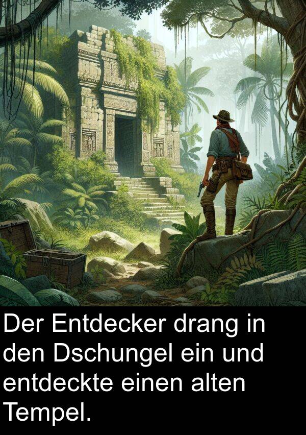 drang: Der Entdecker drang in den Dschungel ein und entdeckte einen alten Tempel.