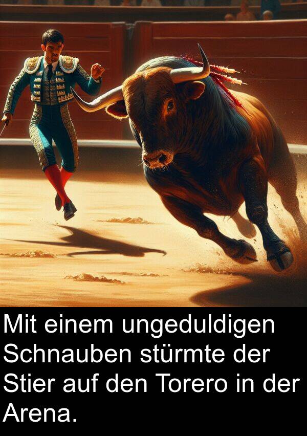 Arena: Mit einem ungeduldigen Schnauben stürmte der Stier auf den Torero in der Arena.