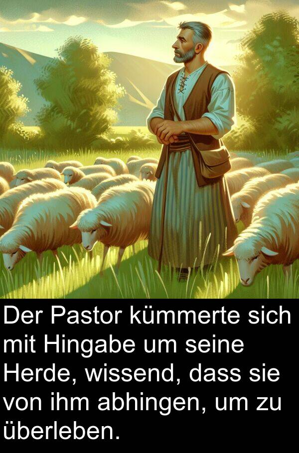 Pastor: Der Pastor kümmerte sich mit Hingabe um seine Herde, wissend, dass sie von ihm abhingen, um zu überleben.