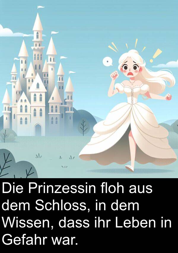 Wissen: Die Prinzessin floh aus dem Schloss, in dem Wissen, dass ihr Leben in Gefahr war.