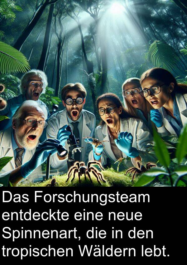 Forschungsteam: Das Forschungsteam entdeckte eine neue Spinnenart, die in den tropischen Wäldern lebt.