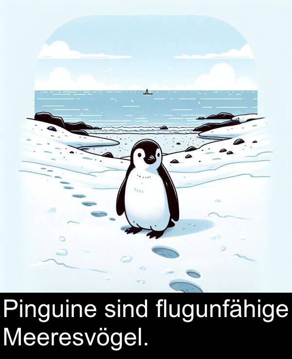 flugunfähige: Pinguine sind flugunfähige Meeresvögel.