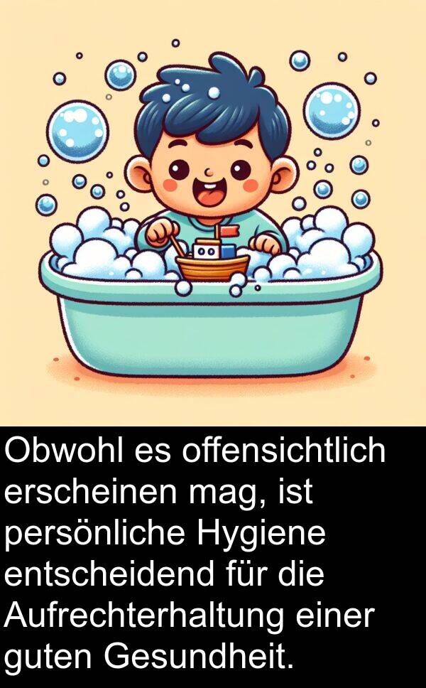 mag: Obwohl es offensichtlich erscheinen mag, ist persönliche Hygiene entscheidend für die Aufrechterhaltung einer guten Gesundheit.