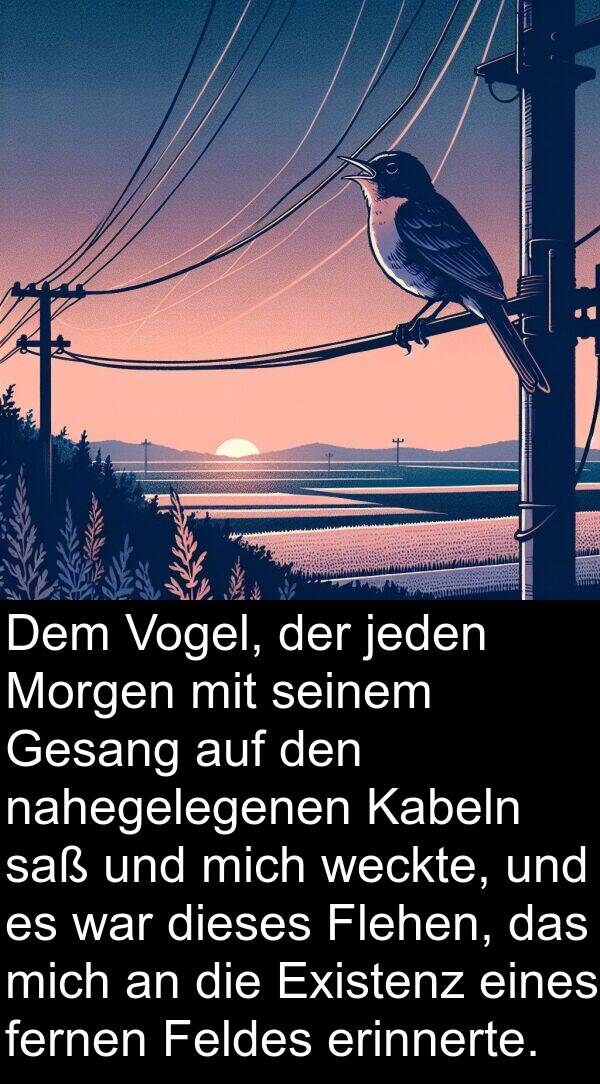 Flehen: Dem Vogel, der jeden Morgen mit seinem Gesang auf den nahegelegenen Kabeln saß und mich weckte, und es war dieses Flehen, das mich an die Existenz eines fernen Feldes erinnerte.