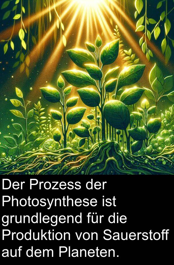 Sauerstoff: Der Prozess der Photosynthese ist grundlegend für die Produktion von Sauerstoff auf dem Planeten.