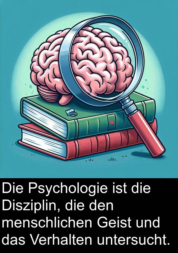 Disziplin: Die Psychologie ist die Disziplin, die den menschlichen Geist und das Verhalten untersucht.