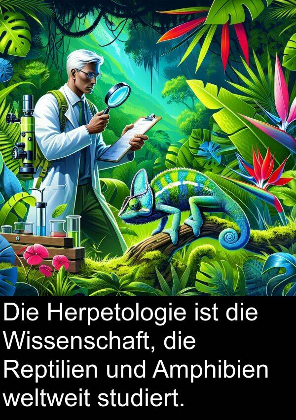 Herpetologie: Die Herpetologie ist die Wissenschaft, die Reptilien und Amphibien weltweit studiert.