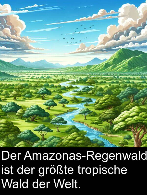 tropische: Der Amazonas-Regenwald ist der größte tropische Wald der Welt.