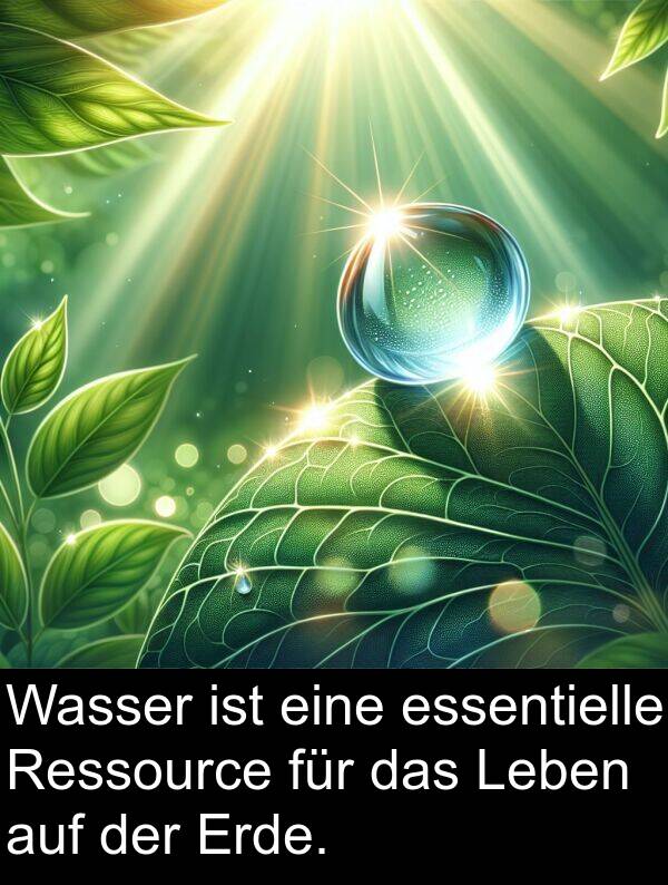 Wasser: Wasser ist eine essentielle Ressource für das Leben auf der Erde.