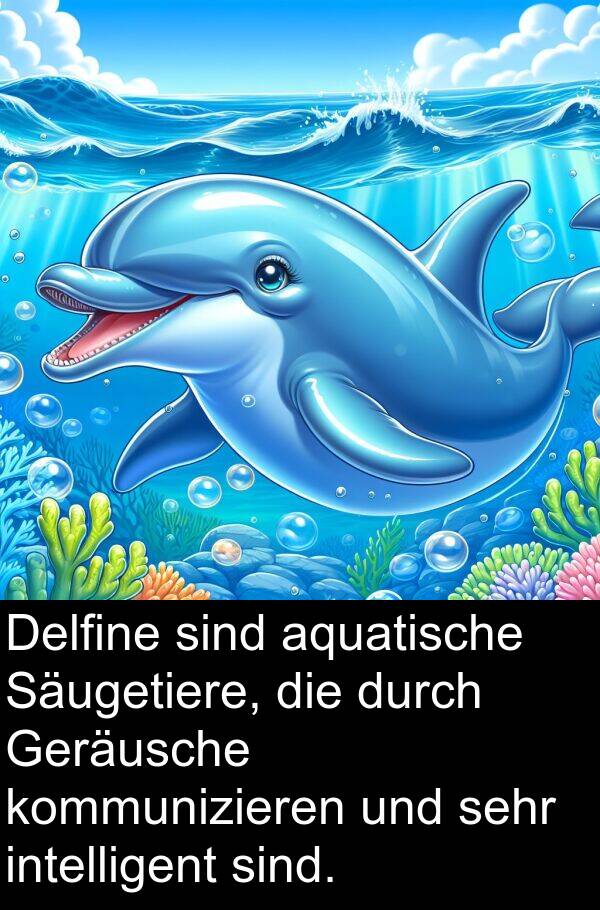 Delfine: Delfine sind aquatische Säugetiere, die durch Geräusche kommunizieren und sehr intelligent sind.