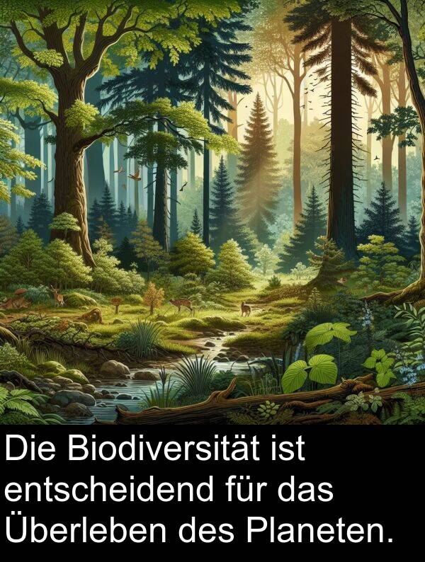 entscheidend: Die Biodiversität ist entscheidend für das Überleben des Planeten.