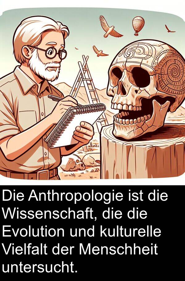 Anthropologie: Die Anthropologie ist die Wissenschaft, die die Evolution und kulturelle Vielfalt der Menschheit untersucht.