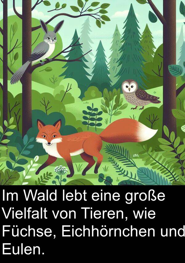 Eichhörnchen: Im Wald lebt eine große Vielfalt von Tieren, wie Füchse, Eichhörnchen und Eulen.