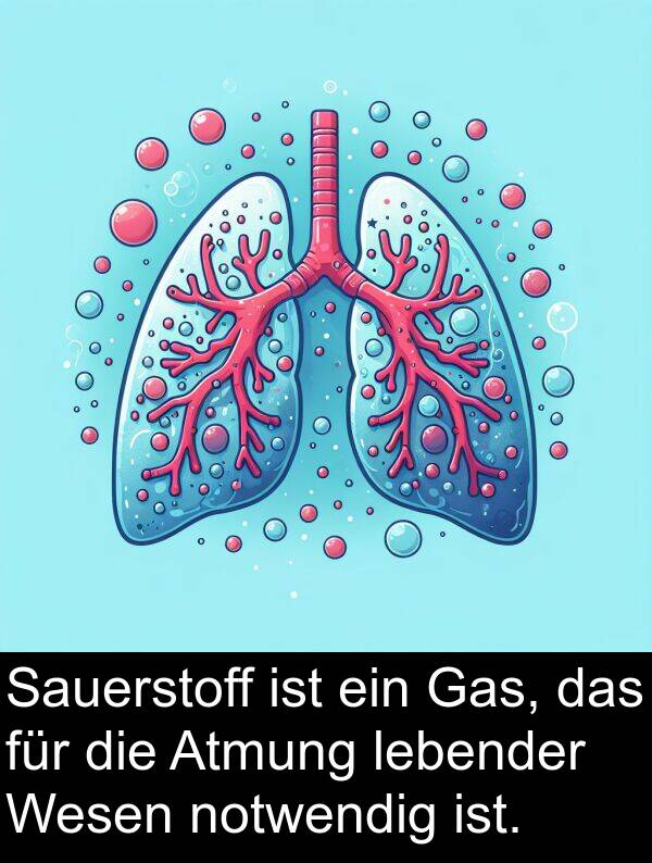 Sauerstoff: Sauerstoff ist ein Gas, das für die Atmung lebender Wesen notwendig ist.