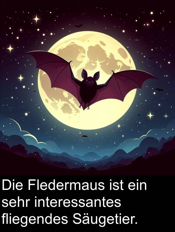 fliegendes: Die Fledermaus ist ein sehr interessantes fliegendes Säugetier.