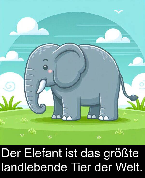 Tier: Der Elefant ist das größte landlebende Tier der Welt.