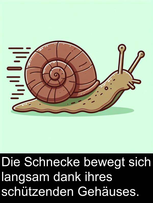 Gehäuses: Die Schnecke bewegt sich langsam dank ihres schützenden Gehäuses.