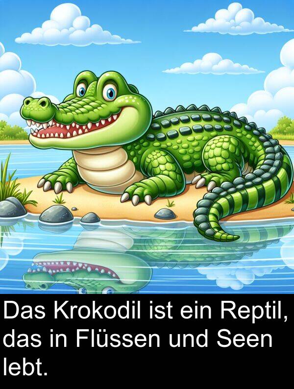 Krokodil: Das Krokodil ist ein Reptil, das in Flüssen und Seen lebt.