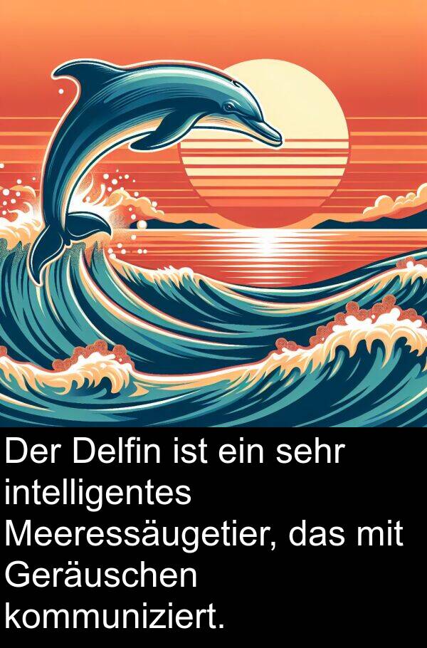 Delfin: Der Delfin ist ein sehr intelligentes Meeressäugetier, das mit Geräuschen kommuniziert.