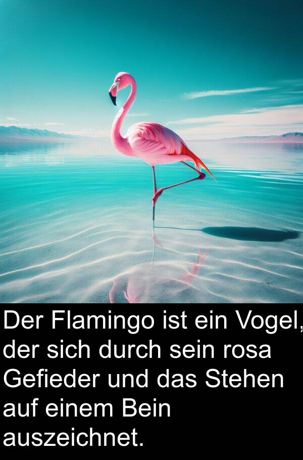 Flamingo: Der Flamingo ist ein Vogel, der sich durch sein rosa Gefieder und das Stehen auf einem Bein auszeichnet.