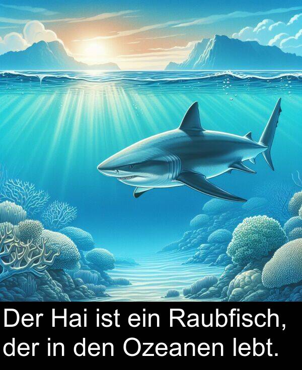 Raubfisch: Der Hai ist ein Raubfisch, der in den Ozeanen lebt.