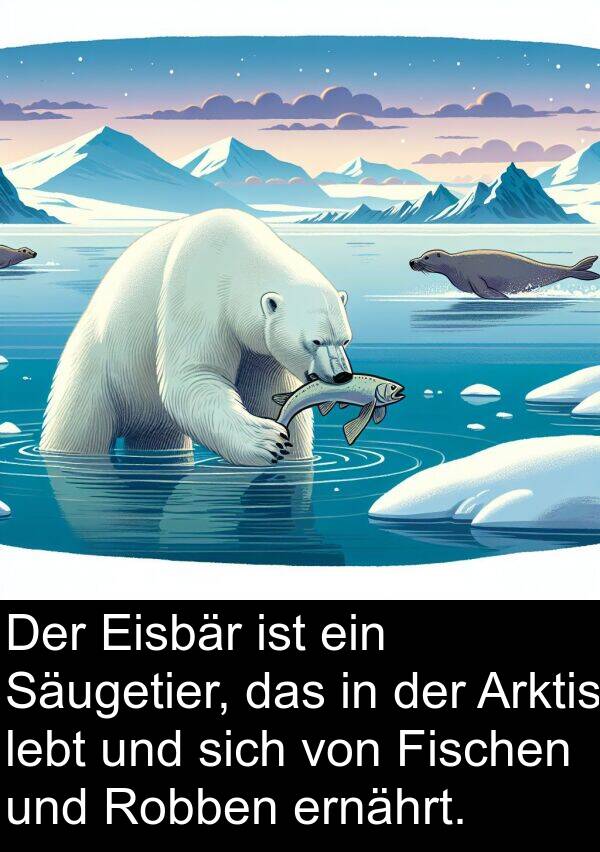 Säugetier: Der Eisbär ist ein Säugetier, das in der Arktis lebt und sich von Fischen und Robben ernährt.