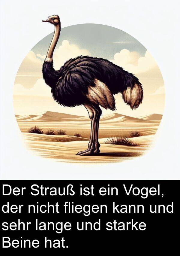 fliegen: Der Strauß ist ein Vogel, der nicht fliegen kann und sehr lange und starke Beine hat.