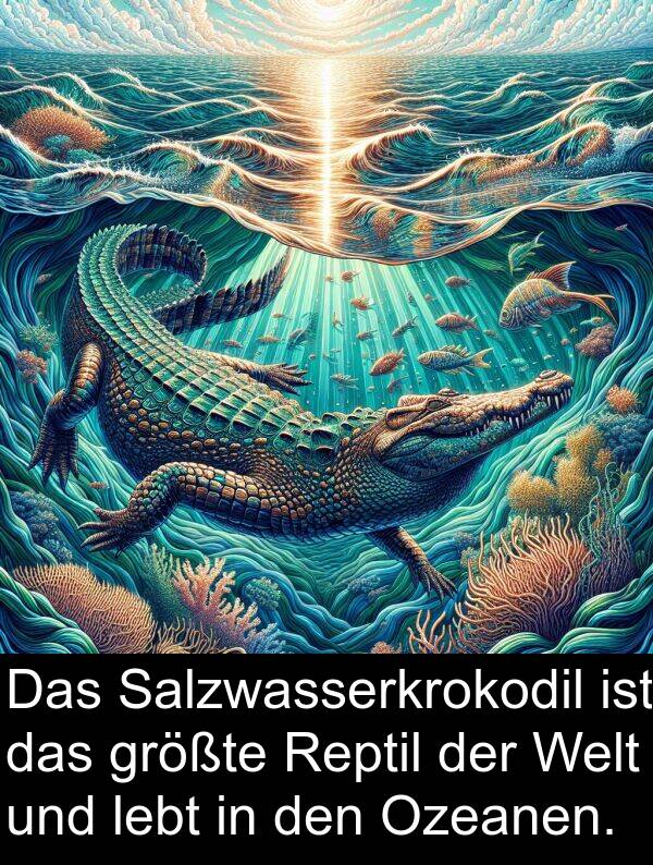 Ozeanen: Das Salzwasserkrokodil ist das größte Reptil der Welt und lebt in den Ozeanen.