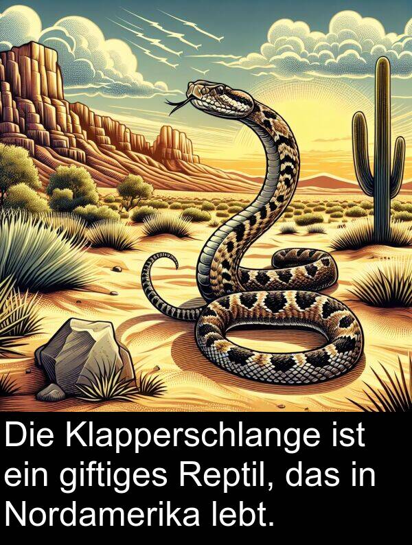 lebt: Die Klapperschlange ist ein giftiges Reptil, das in Nordamerika lebt.