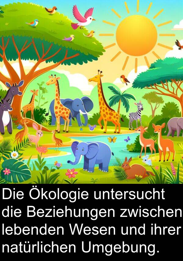 Ökologie: Die Ökologie untersucht die Beziehungen zwischen lebenden Wesen und ihrer natürlichen Umgebung.