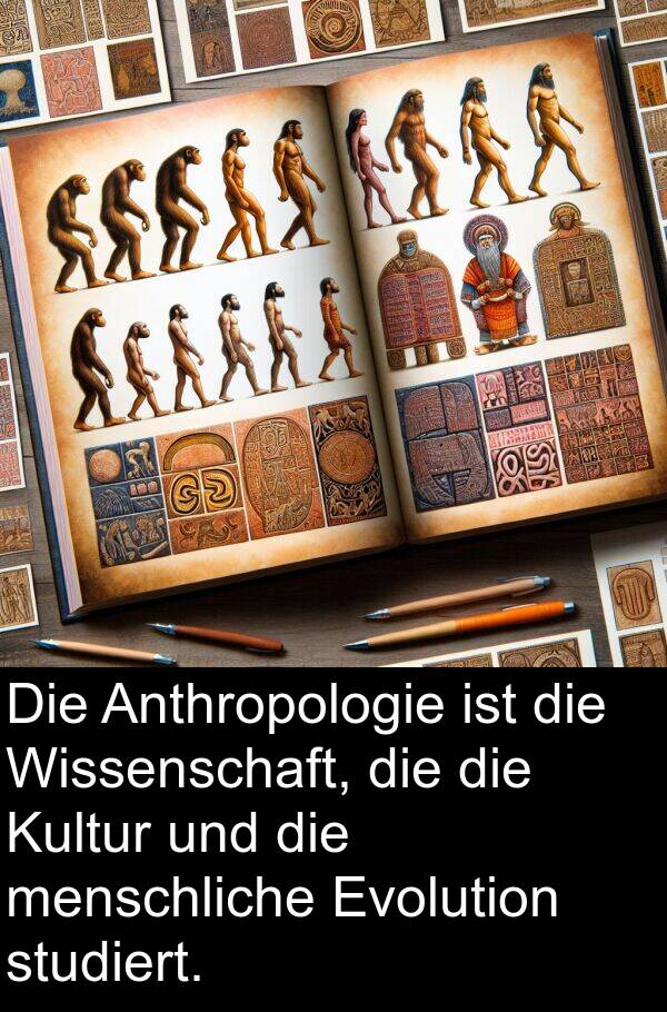 Anthropologie: Die Anthropologie ist die Wissenschaft, die die Kultur und die menschliche Evolution studiert.