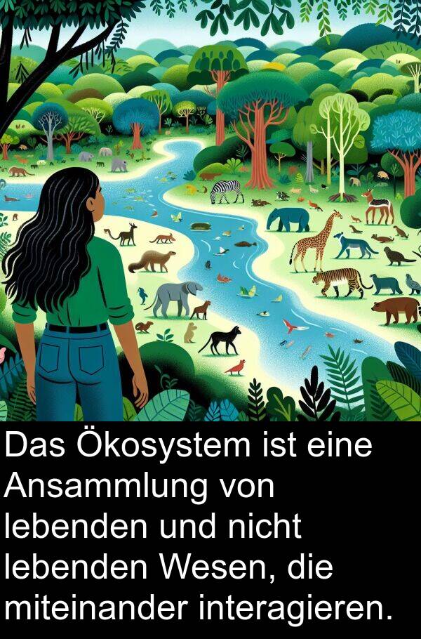 lebenden: Das Ökosystem ist eine Ansammlung von lebenden und nicht lebenden Wesen, die miteinander interagieren.