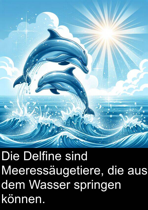 Delfine: Die Delfine sind Meeressäugetiere, die aus dem Wasser springen können.