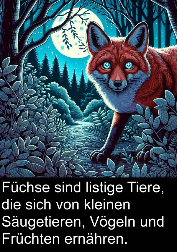 Säugetieren: Füchse sind listige Tiere, die sich von kleinen Säugetieren, Vögeln und Früchten ernähren.