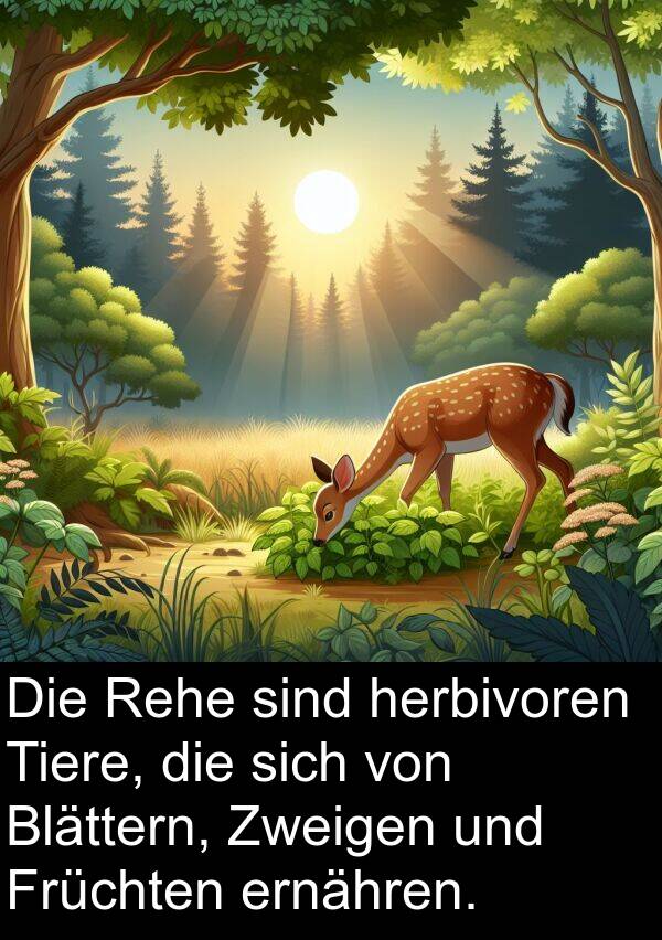 ernähren: Die Rehe sind herbivoren Tiere, die sich von Blättern, Zweigen und Früchten ernähren.