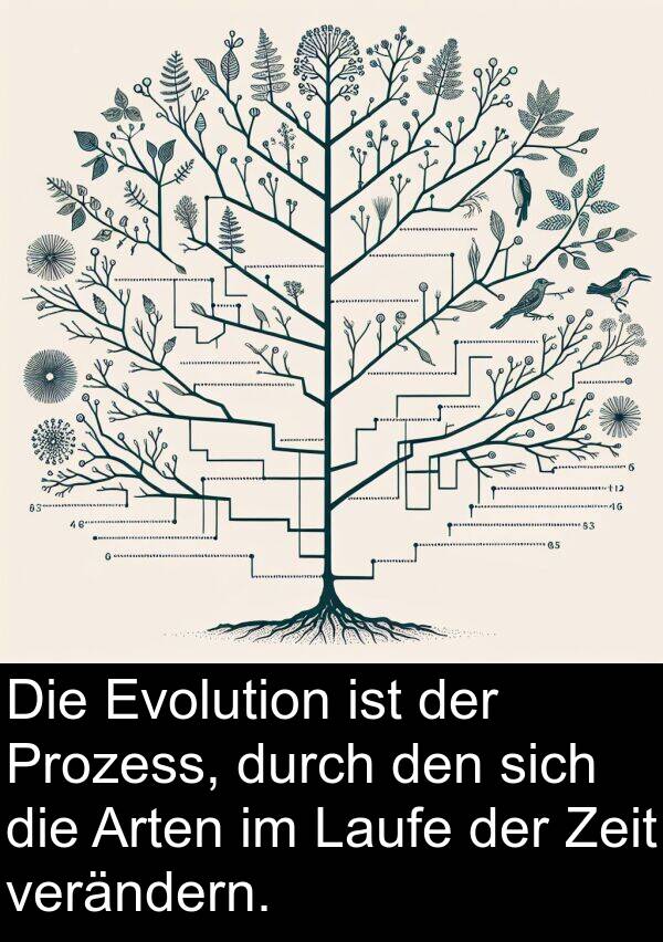 verändern: Die Evolution ist der Prozess, durch den sich die Arten im Laufe der Zeit verändern.