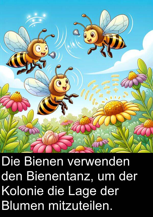 Kolonie: Die Bienen verwenden den Bienentanz, um der Kolonie die Lage der Blumen mitzuteilen.