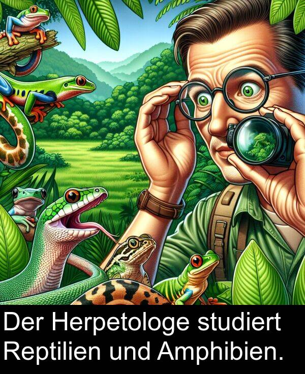 Amphibien: Der Herpetologe studiert Reptilien und Amphibien.