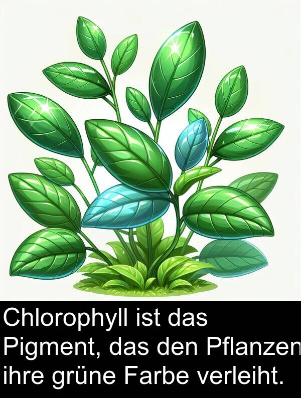 ihre: Chlorophyll ist das Pigment, das den Pflanzen ihre grüne Farbe verleiht.