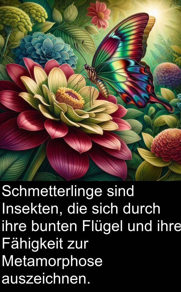 Flügel: Schmetterlinge sind Insekten, die sich durch ihre bunten Flügel und ihre Fähigkeit zur Metamorphose auszeichnen.