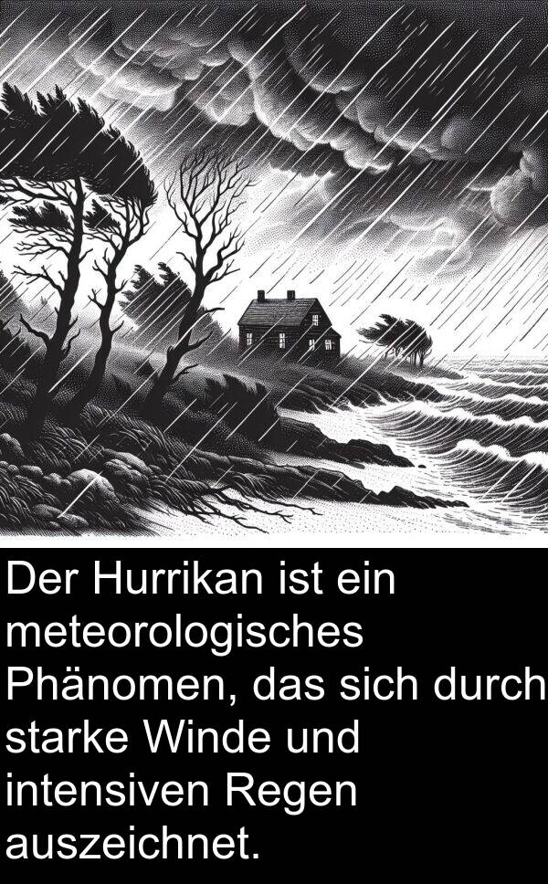 Regen: Der Hurrikan ist ein meteorologisches Phänomen, das sich durch starke Winde und intensiven Regen auszeichnet.