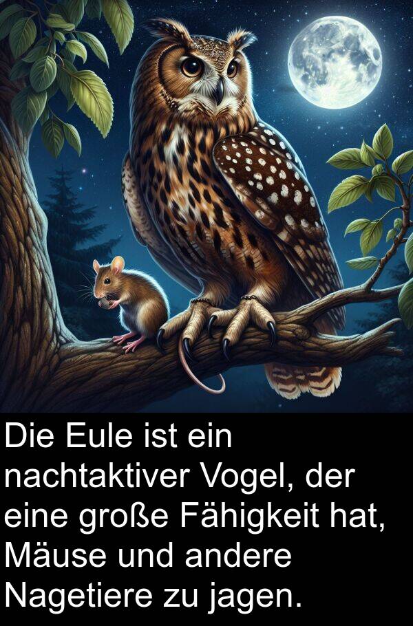 Fähigkeit: Die Eule ist ein nachtaktiver Vogel, der eine große Fähigkeit hat, Mäuse und andere Nagetiere zu jagen.